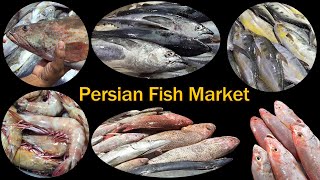 Buy Fish Like a Pro (with Subtitle) | توضیح انواع ماهی جنوب