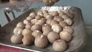 42 Arecanut 1000 Grams