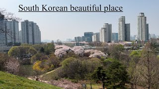 South Korean beautiful seen.