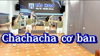 Chachacha cơ bản - Tài Hoa Dân Vũ - #taihoadanvu