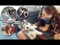 Nakakita Ako Ng Puppy Na Iniwan Sa Daan!! + Blossom Goes To The Vet AGAIN | Sai Datinguinoo