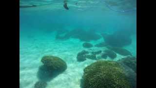 Gopro：Haru Aizu Sup Ocean Cruising at Onna Okinawa Japan