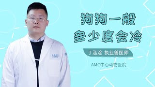 狗狗一般多少度會冷