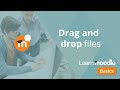 Drag and Drop Files