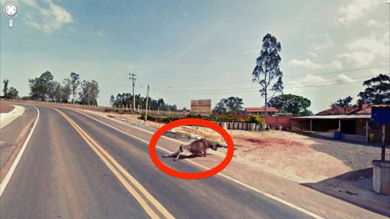 Wierd Google Street View Maps