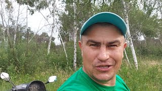 Поездка в берёзовая рощу. Заготовил веники для бани.
