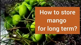 How to store mango for long term? ಮಾವಿನಕಾಯಿ ರೆಸಿಪಿ ವರ್ಷಪೂರ್ತಿ...