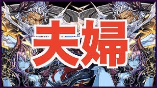 【編成難易度高め】マンティコア降臨周回「ゼウスヴァースPT」【パズドラ】