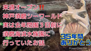 【35年間ありがとう】来週オープンの神戸須磨シーワールド‼️去年閉園３日前に須磨海浜水族園に行っていたお話