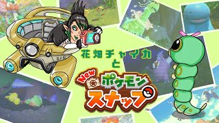 花畑チャイカとNewポケモンスナップ 現代ポケモン研究家レンティルへ行くその3　22時就寝5時起きじじい眠くなる前にシャッターチャンス朝にしか出ないポケモンとかゲットできなかったよね