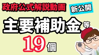 政府公式解説動画公開2024年版・中小企業・個人事業主向け補助金・支援策・どんな補助金が今年あるのか確認【中小企業診断士YouTuber マキノヤ先生】第1695回