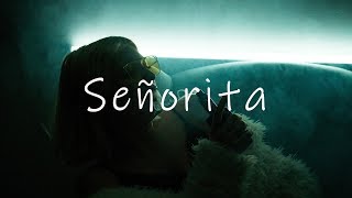 Shawn Mendes, Camila Cabello ‒ Señorita (Lyrics)