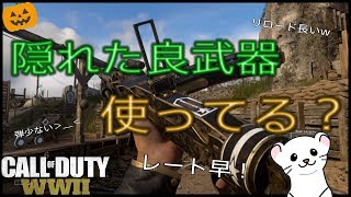 【WW2】レートが速くてブレない！隠れた良武器参戦！！【初心者実況：COD】