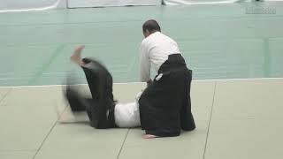 OWADA Yukimasa - 57th All Japan Aikido Demonstration 2019