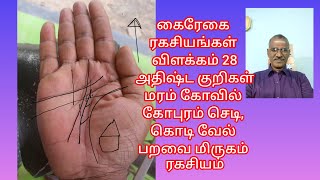 கைரேகைரகசியங்கள்விளக்கம் 28 அதிர்ஷ்டகுறிகள்மரம் கோவில் கோபுரம் செடி கொடி வேல்  ரகசியம்#palmistry