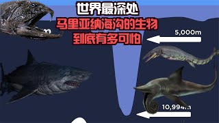 您是否想过，海洋的最深处有什么？马里亚纳海沟的生物到底多可怕