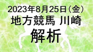 【競馬解析】2023/08/25 川崎競馬 #競馬,#競馬予想,#地方競馬,#川崎競馬,#川崎,#予想,#地方競馬予想