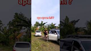 Preman kampung patentengan, Sok keras akhirnya jadi ayam sayur jumpa intel#preman #brasil #gangster