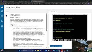 NDG Linux Essentials - Challenge Lab B: Bash Scripting