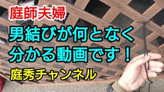 【庭師・夫婦で独立】＃35 男結びが、何となく分かる動画です！