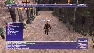 FFXI Monk Maat fight win