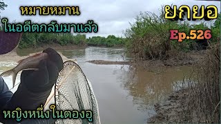 ยกยอแม่น้ำมะ'64 #55ปลาลงเยอะ ยิ่งค่ำยิ่งเยอะ🐟🐟Ep.526