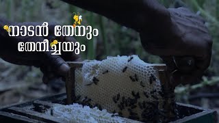 നാടൻ തേനും തേനീച്ചയും 🐝| Naadan Thenum Theneechayum | Beekeeping in Kerala|