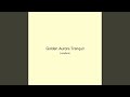 Golden Aurora Tranquil