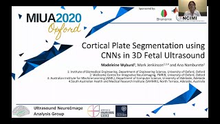 MIUA 2020: Cortical Plate Segmentation Using CNNs in 3D Fetal Ultrasound