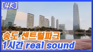 [4K] 송도 센트럴파크 1시간 리얼 사운드(백색소음)