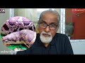 non venomous common sand boa with english subtitles নির্বিষ তুতুর ophiologist_marut_deb