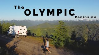 VAN LIFE | BEACHES, WILDLIFE, AND CAMPING | Olympic Peninsula, Washington