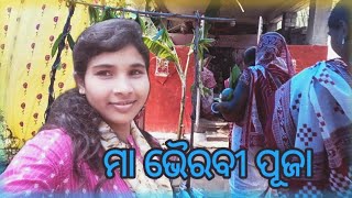 ମା ଭୈରବୀ ପୂଜା // #bmlivevlogs