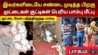 பாகம் (2) | அதிக குட்டியுடன் முட்டை மேல் படுத்திருந்த தாய் பாம்பு | அதிர்ச்சி அடைந்த ஊர் மக்கள் 😱