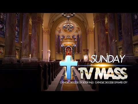 Sunday TV Mass – July 14, 2024