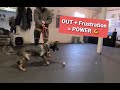 Training OUTS and more with a GSD puppy