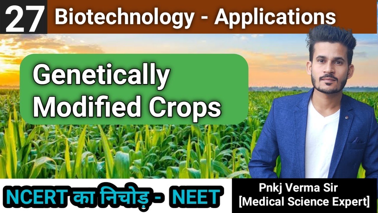 Genetically Modified Crops | GMO | Biotechnology | NEET | AIIMS - YouTube