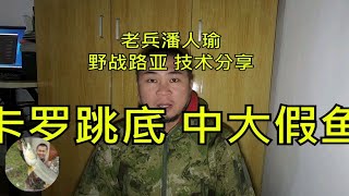 路亚用卡罗跳底，结果中大假鱼，手法技术技巧，钓鱼垂钓野钓水库池塘湖泊河流江河路亚技术教学爱好者