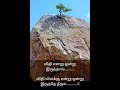 விதி விதிவலக்கு தன்னம்பிக்கை shortsfeed shorts tamilquotes