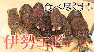 釣った伊勢エビをおいしく食べ尽くす！〜料理編〜