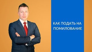 Что такое помилование - Как подать на помилование - Адвокат по уголовным делам