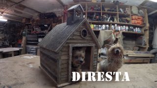 ✔ DIRESTA Old School Dog House