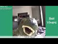 purplecrumbs vine compilation w titles all purplecrumbs vines ❤best viners 2016