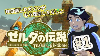 【ゼルダの伝説】昨日倒したガノンがもう復活した＃１【Tears of the Kingdom】