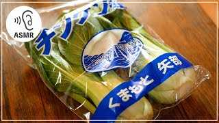 【ASMR】チンゲン菜の冷凍保存方法