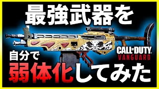 【CoD:V】最強武器を自分で弱体化してみたらV動画史上最もキツイ武器になった...CoD:Vanguard【ぐっぴー】