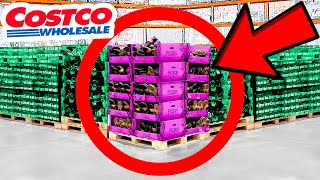 10 Things You SHOULD Be Buying at Costco in January 2023