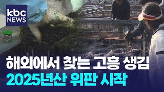 2025년산 고흥 생김 위판 본격 시작..\