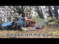 Solo camping with dog, relaxing ASMR RAIN sounds