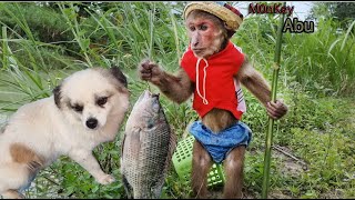 Funny Monkey Abu Moments Compilation Best